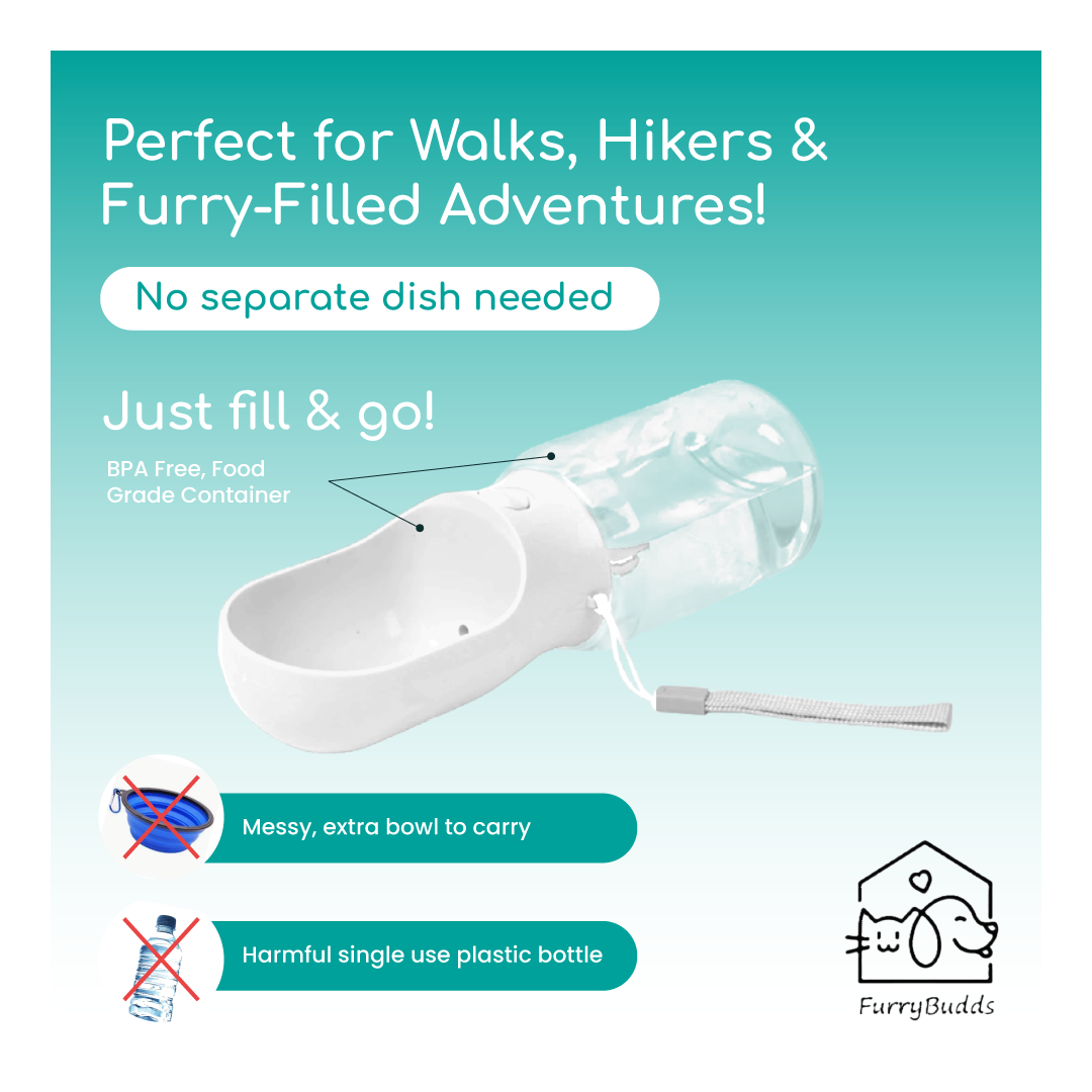 Furry Budds 12oz Dog Water Bottle - White