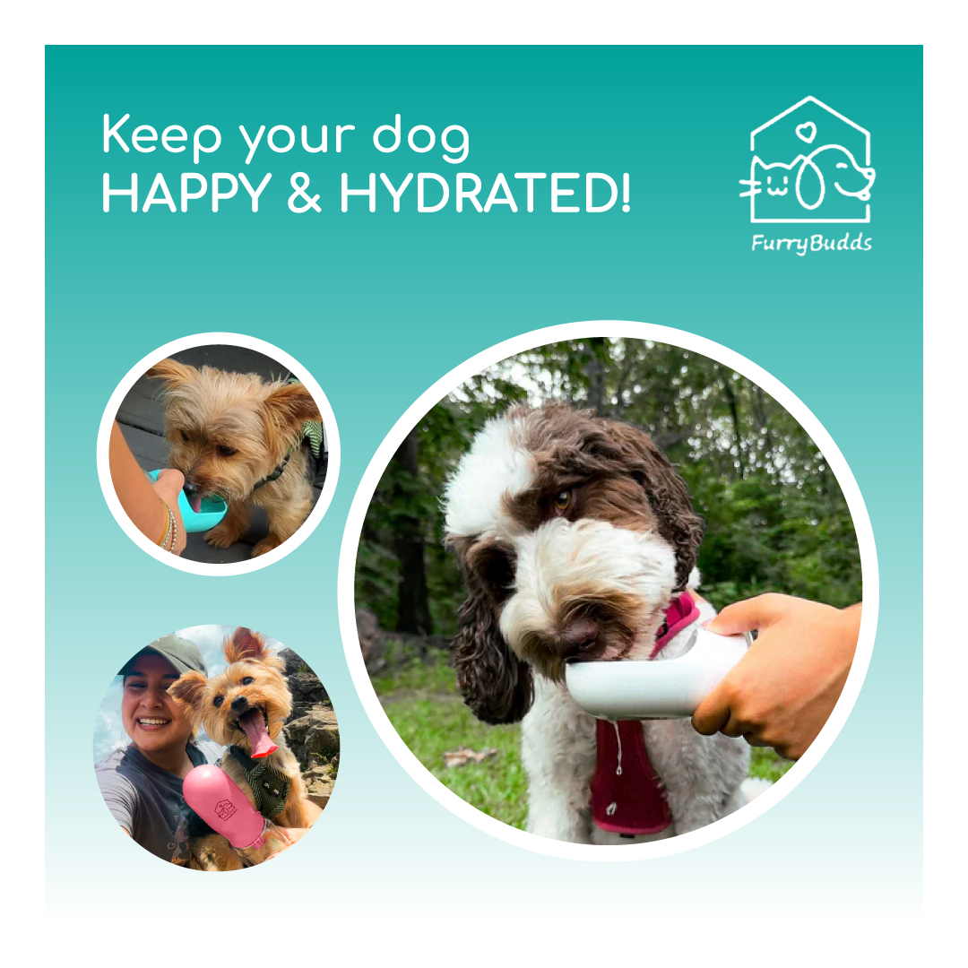 Furry Budds 12oz Dog Water Bottle - White