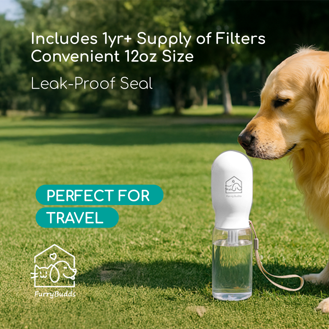 Furry Budds 12oz Dog Water Bottle - White