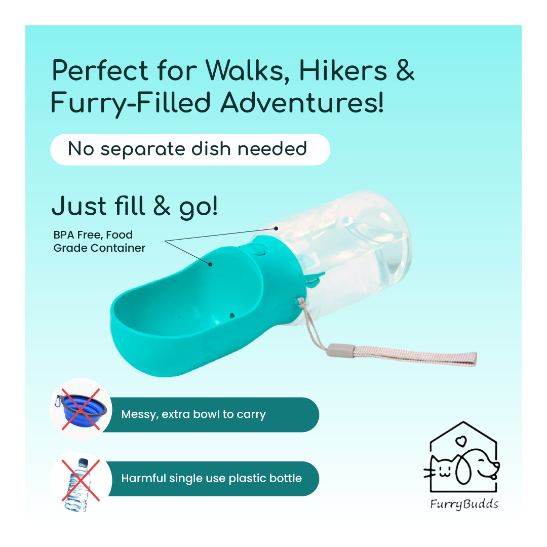 Furry Budds 12oz Dog Water Bottle - Blue