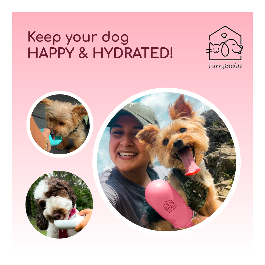 Furry Budds 12oz Dog Water Bottle - Pink