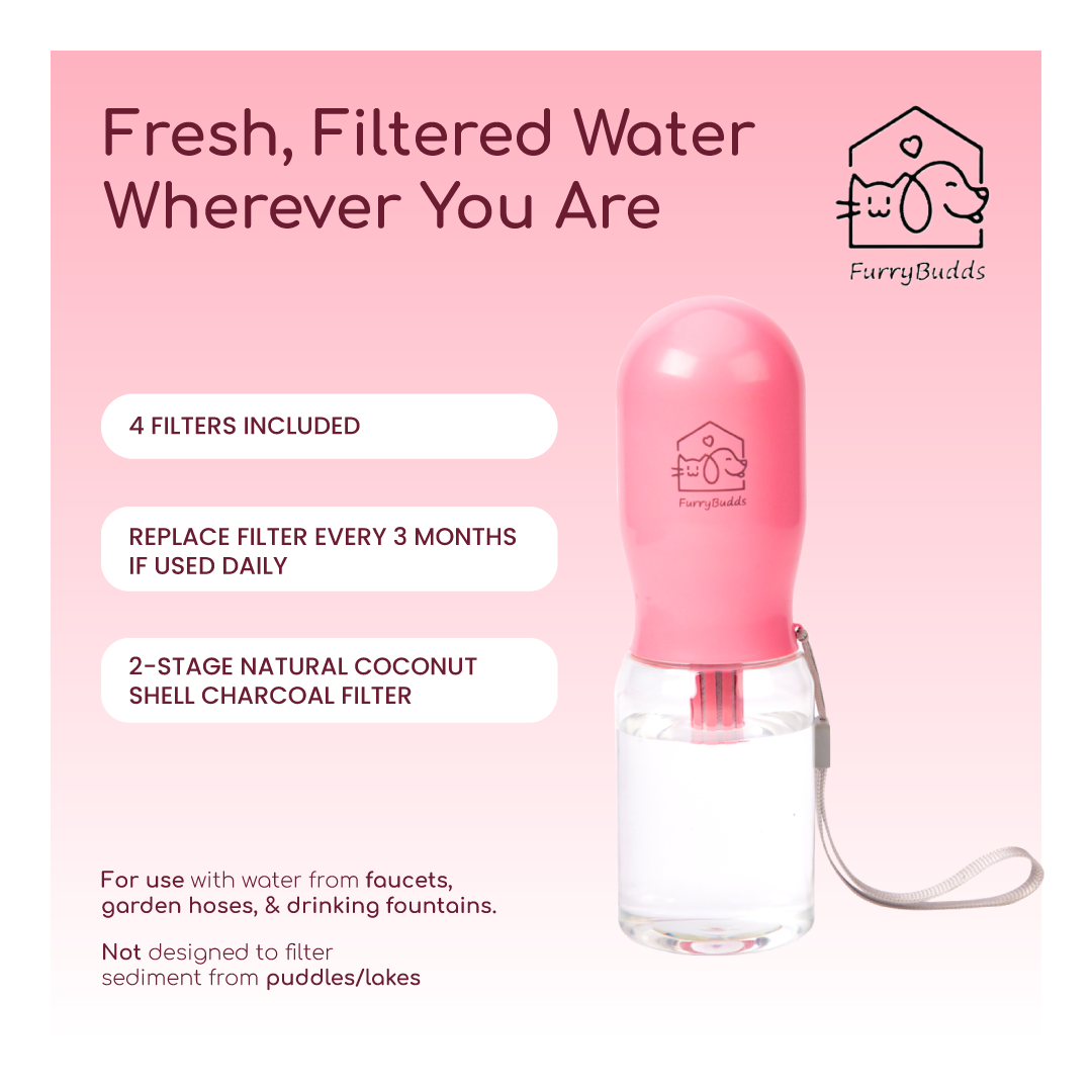 Furry Budds 12oz Dog Water Bottle - Pink