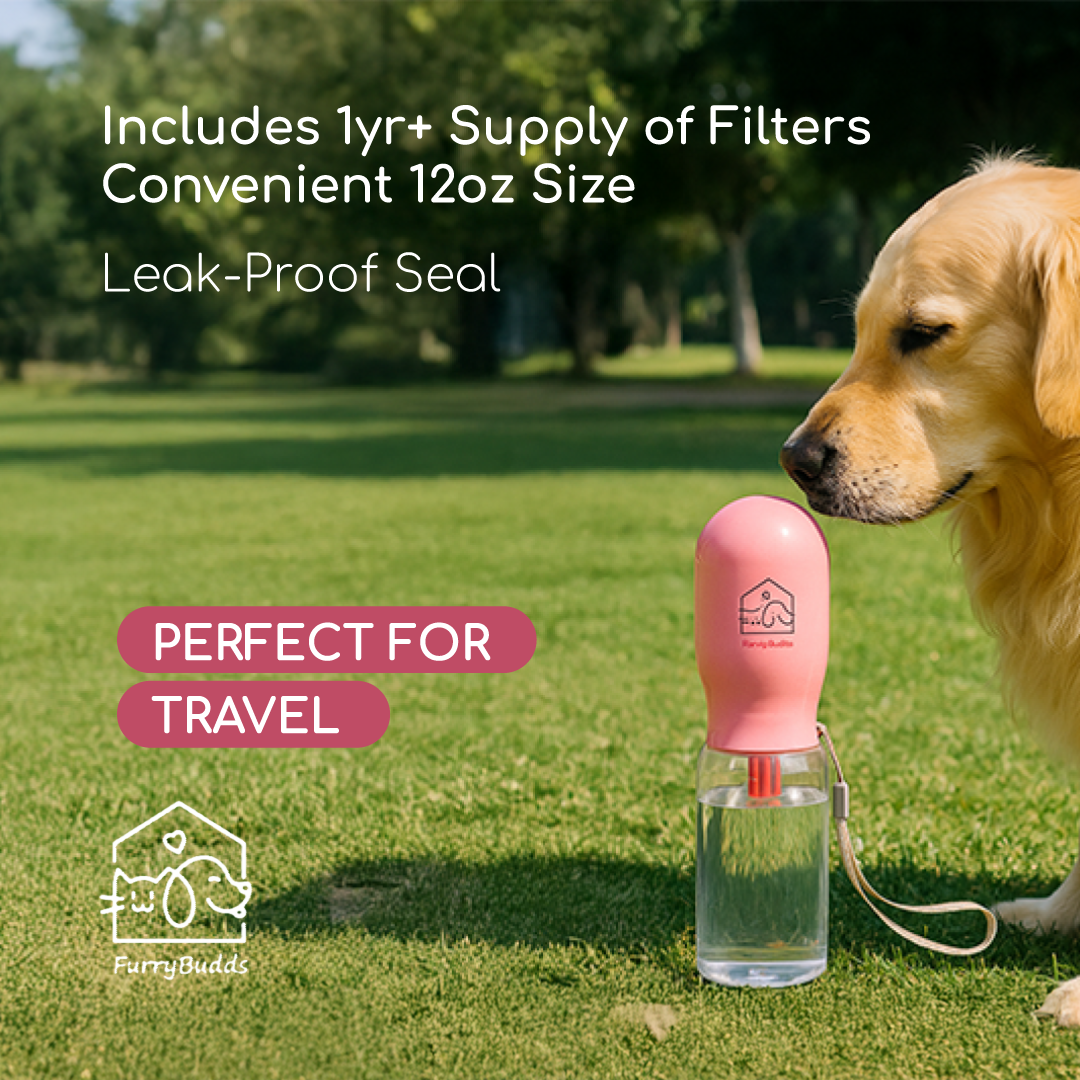 Furry Budds 12oz Dog Water Bottle - Pink