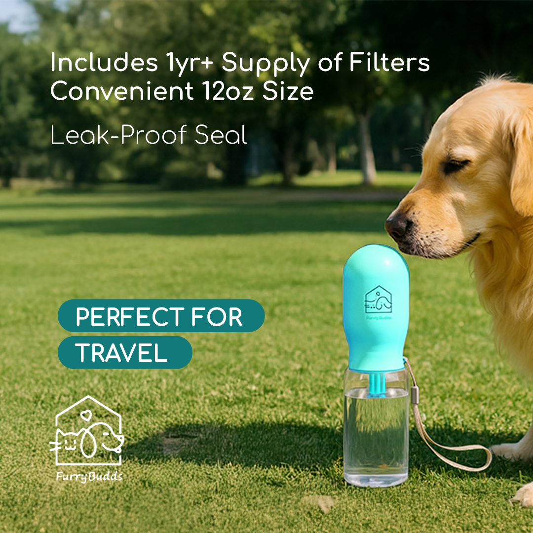 Furry Budds 12oz Dog Water Bottle - Blue